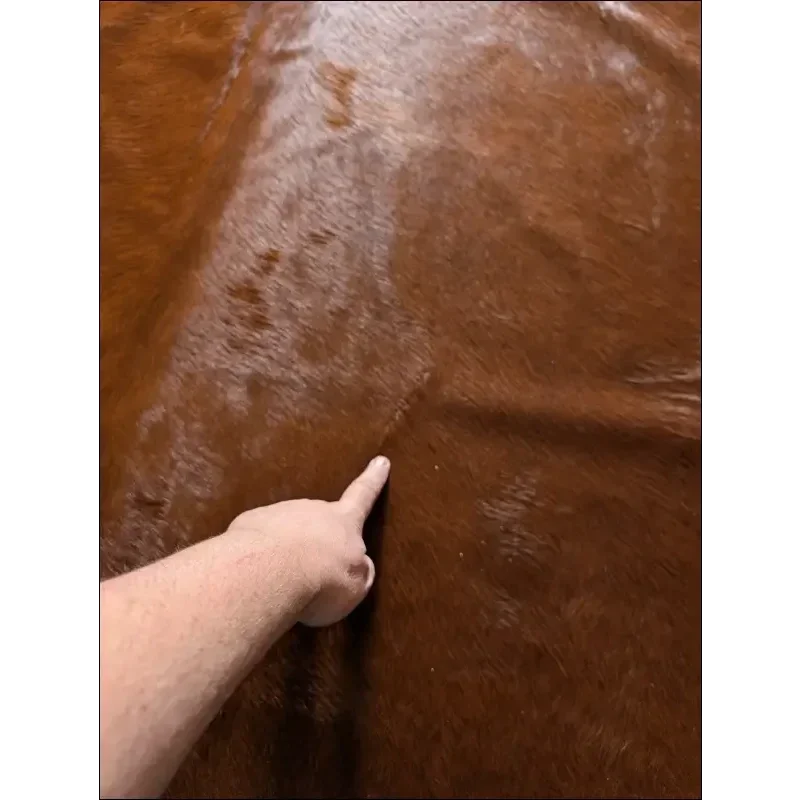 Brown leather armrest cover on extra large cowhide Hereford#109 rug