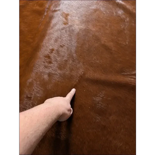 Brown leather armrest cover on extra large cowhide Hereford#109 rug
