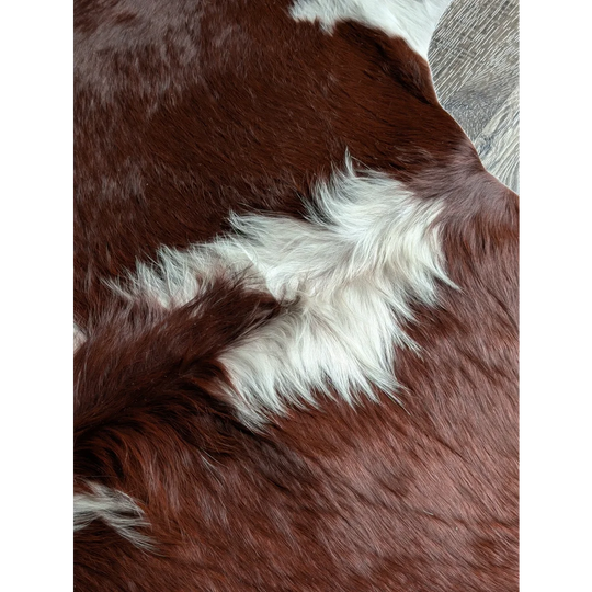 Extra large Hereford cowhide rug with brown and white patches, soft underfoot