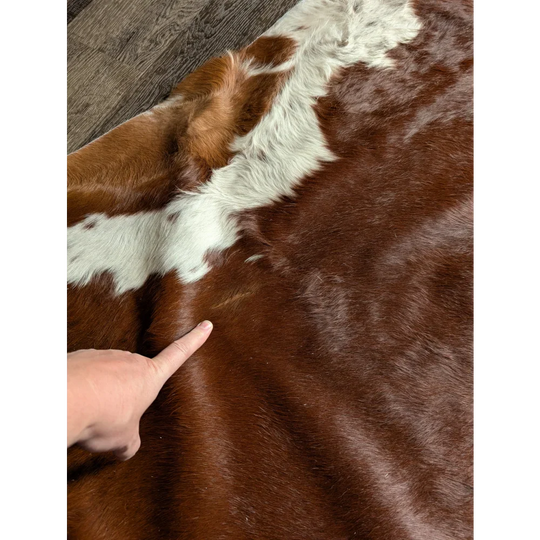 Extra large Hereford cowhide rug with brown white patches soft underfoot