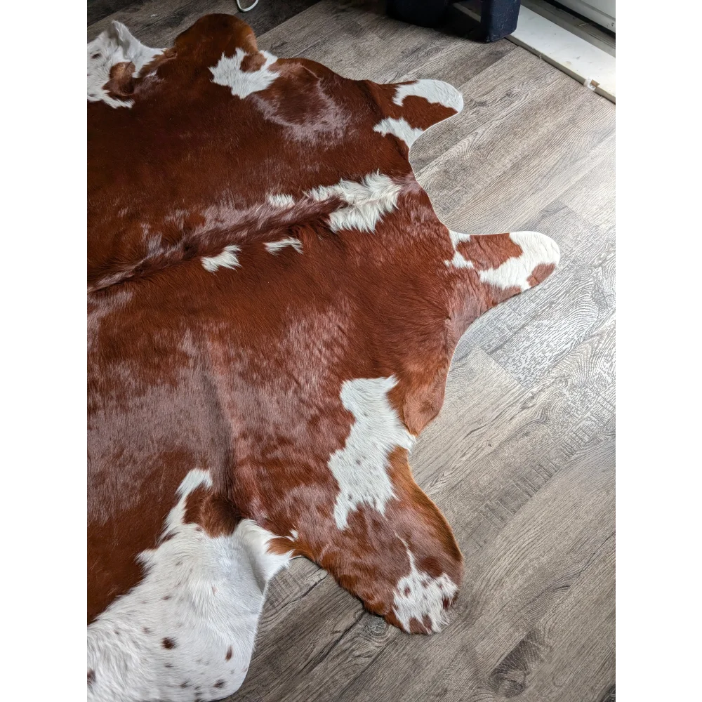 Lovely Hereford#198 extra large cowhide rug with brown and white patches, soft underfoot