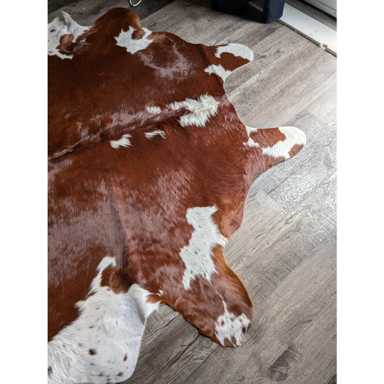 Lovely Hereford#198 extra large cowhide rug with brown and white patches, soft underfoot