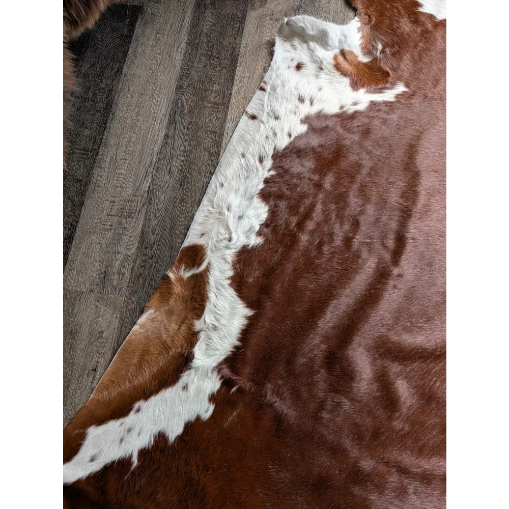 Extra large Hereford#198 cowhide rug with brown and white patches, soft underfoot