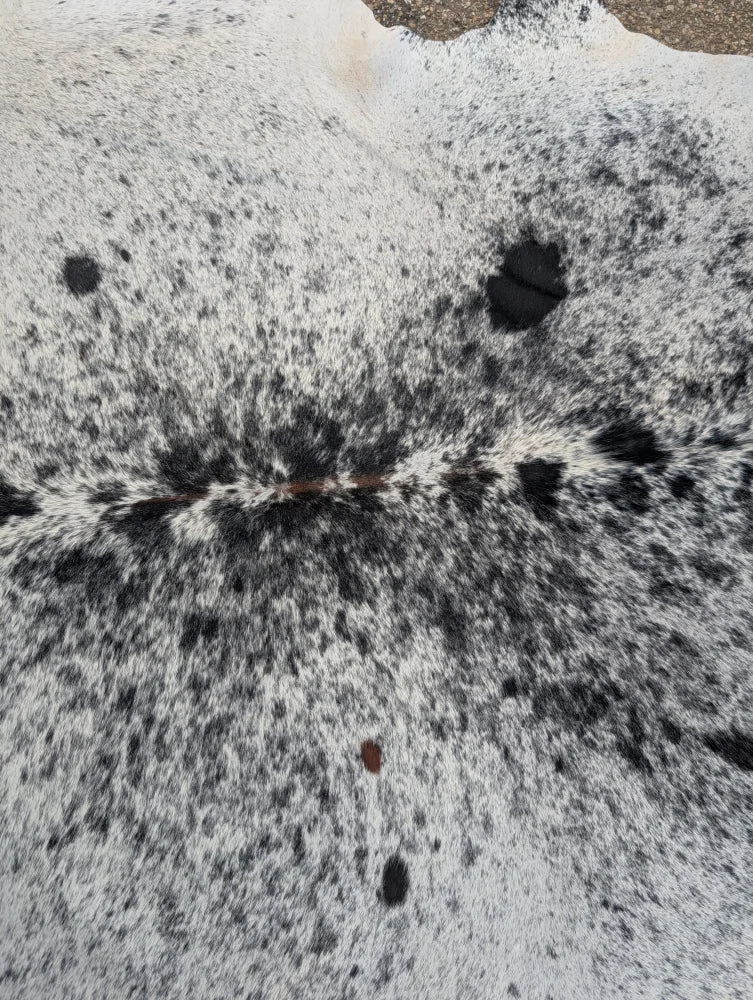 Large black and white speckled cowhide rug with natural fur texture showing unique characteristics Hum#13 91 x 84 inches
