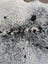 Large black and white speckled cowhide rug with natural fur texture showing unique characteristics Hum#13 91 x 84 inches