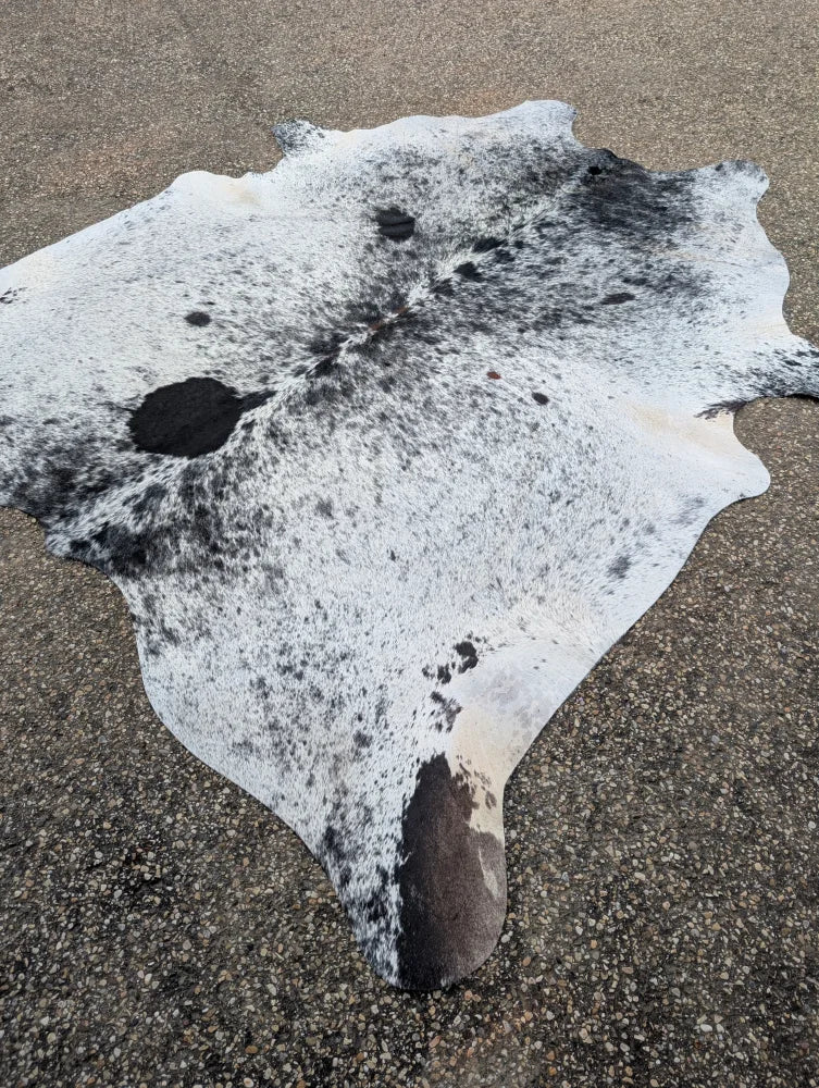 Large black and white speckled cowhide rug hum13 with unique natural irregular edges perfect for any space