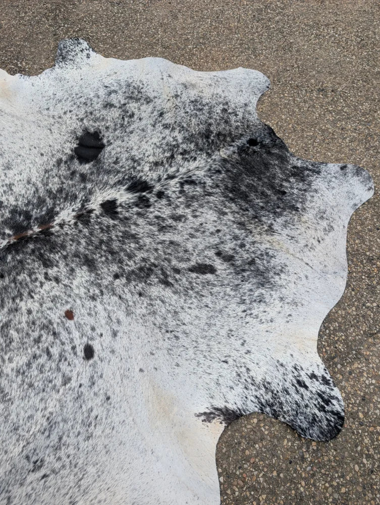 Hum13 large cowhide rug with white and black speckled pattern and natural irregular edge showcasing unique characteristics