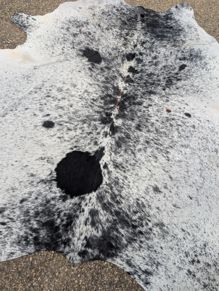 Black and white spotted large cowhide rug with unique characteristics and natural irregular edge perfect for any space