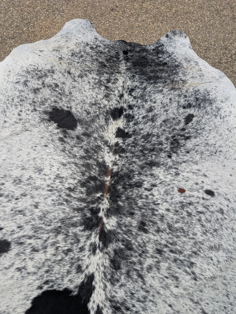 Massive black and white large cowhide rug hum13 with unique characteristics and natural textured surface