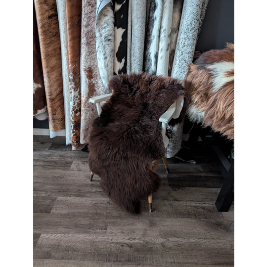 A plush extra large british sheepskin rug in dark brown draped over a white wooden chair measuring 54 x 28 inches