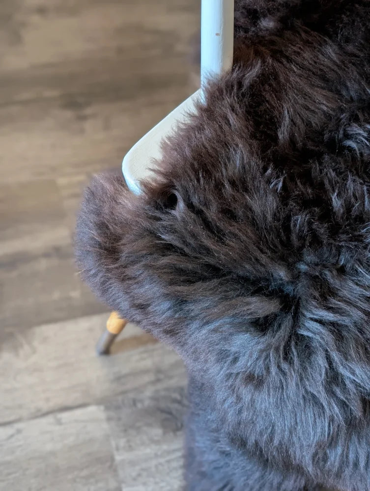 A fluffy dark gray poodle resting on a 53 x 27 inch british isles sheepskin with thick curly fur texture