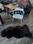 Black british isles sheepskin rug with plush fluffy texture and natural irregular edges measuring 53 x 27 inches