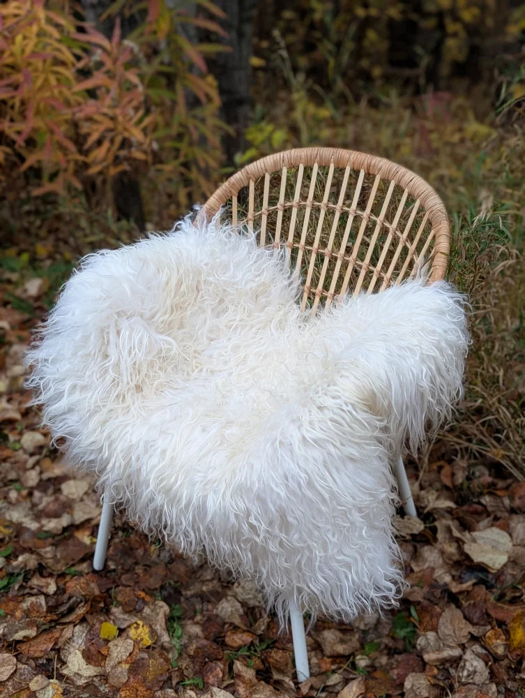 A plush white long wool icelandic sheepskin throw draped over a woven wicker chair for cozy decor