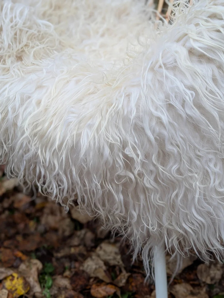 A plush white curly wool icelandic sheepskin chair with long wool icelandic texture and soft voluminous feel