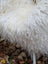 A plush white curly wool icelandic sheepskin chair with long wool icelandic texture and soft voluminous feel