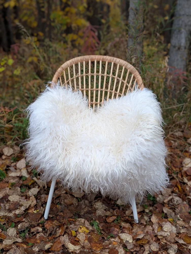 A cozy white long wool icelandic sheepskin throw draped over a woven rattan chair with metal legs