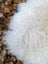 A plush white long wool icelandic sheepskin with curly soft texture perfect for cozy home decor