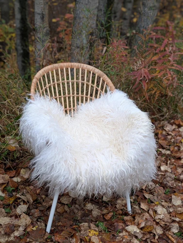 A cozy white long wool icelandic sheepskin throw draped over a woven rattan chair with metal legs