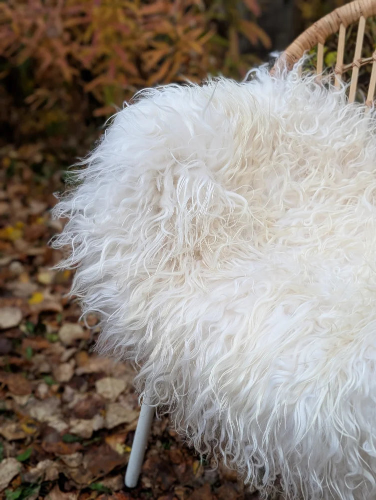 A plush off-white long wool icelandic sheepskin throw draped over a wicker chair for cozy decor