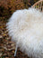 A plush off-white long wool icelandic sheepskin throw draped over a wicker chair for cozy decor