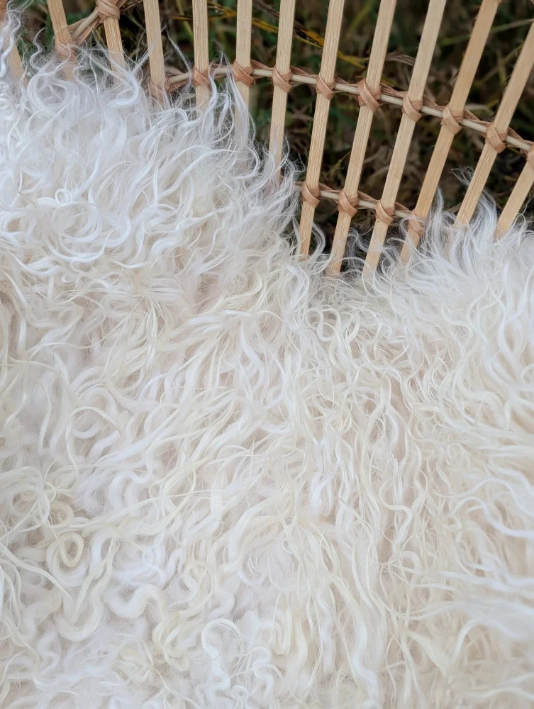 A plush white curly long wool icelandic sheepskin rug with soft fluffy texture perfect for cozy spaces