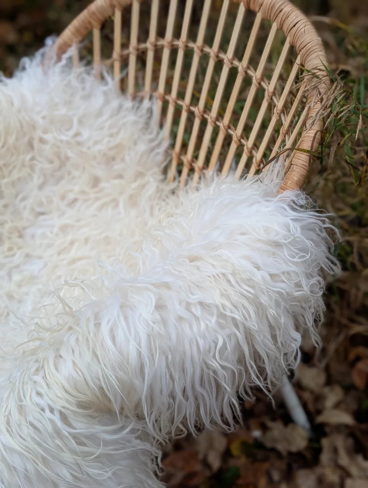 A plush off-white long wool icelandic sheepskin throw with curly fibers draped over a woven wicker chair