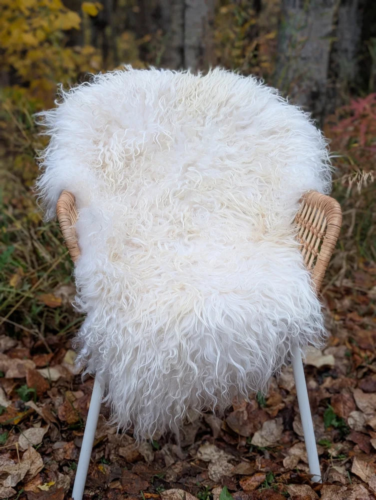 A plush white wool icelandic sheepskin rug with curly long fibers draped over a wicker chair