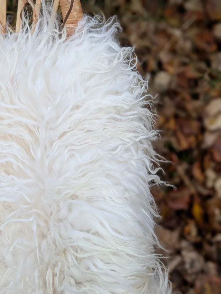 A plush white curly long wool icelandic sheepskin throw blanket with soft voluminous texture 48 x 32 inches