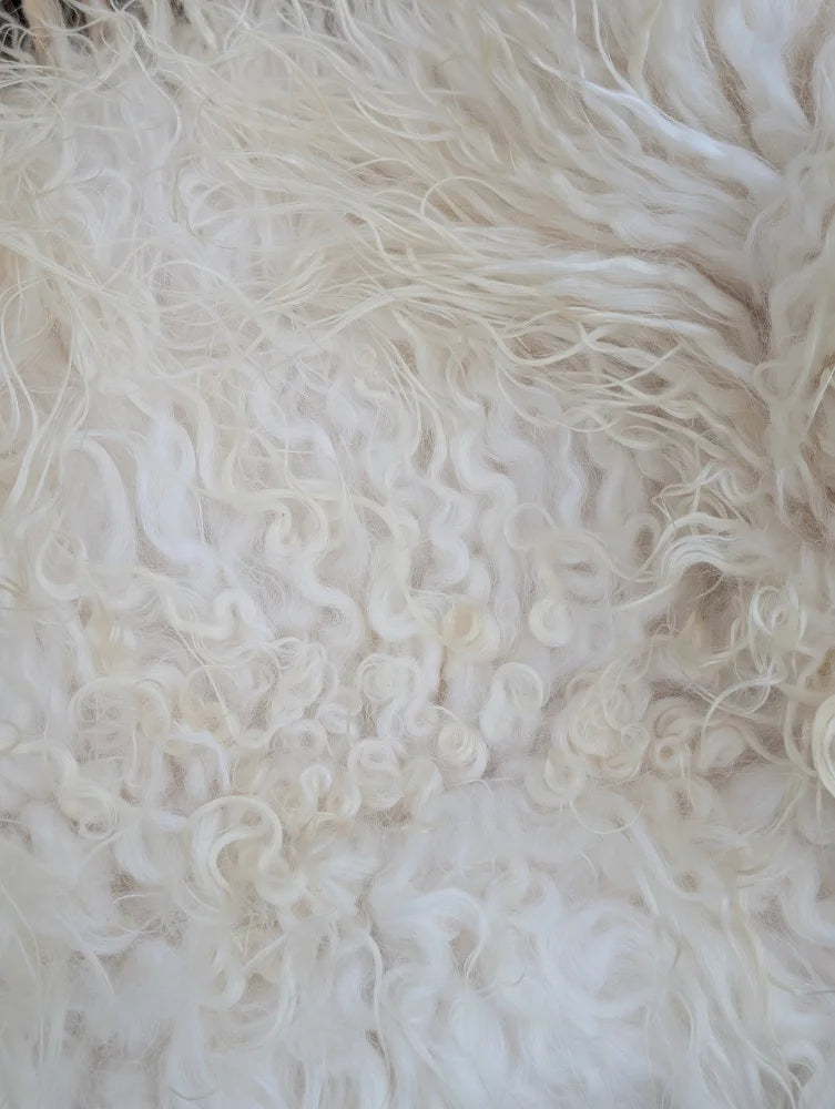 A plush off-white curly long wool icelandic sheepskin rug with soft voluminous texture perfect for cozy spaces