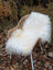 White fluffy wool icelandic sheepskin throw draped over a woven wicker chair showing long wool icelandic texture