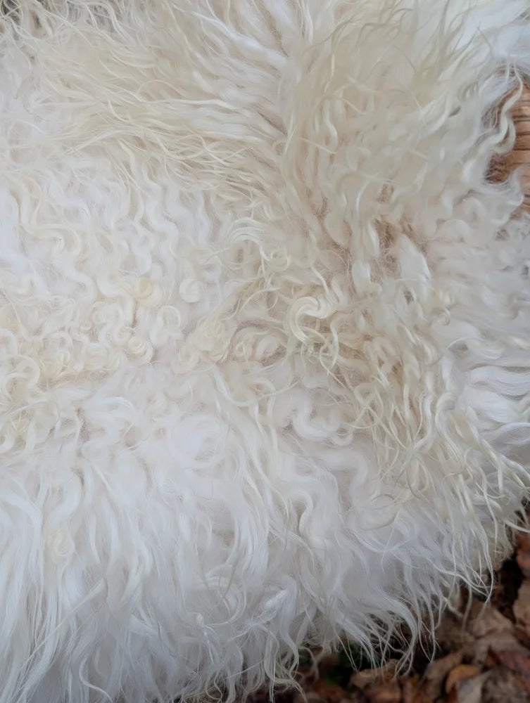 A plush off-white curly long wool icelandic sheepskin rug with a dense shaggy texture perfect for cozy spaces