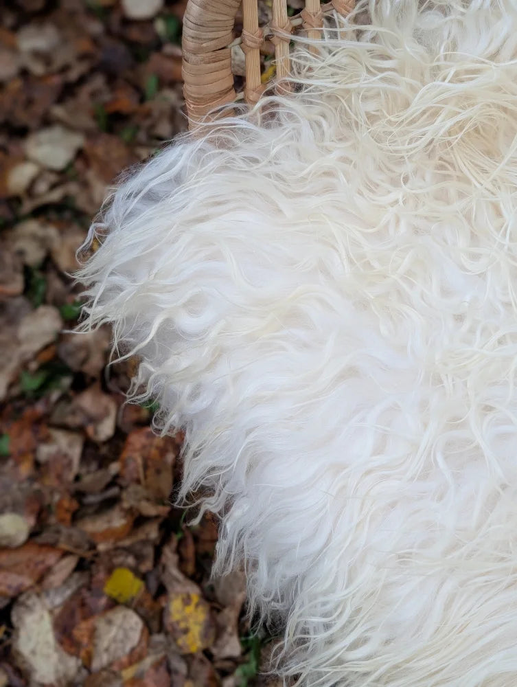 A plush off-white curly fur throw blanket made of long wool icelandic sheepskin with soft voluminous texture