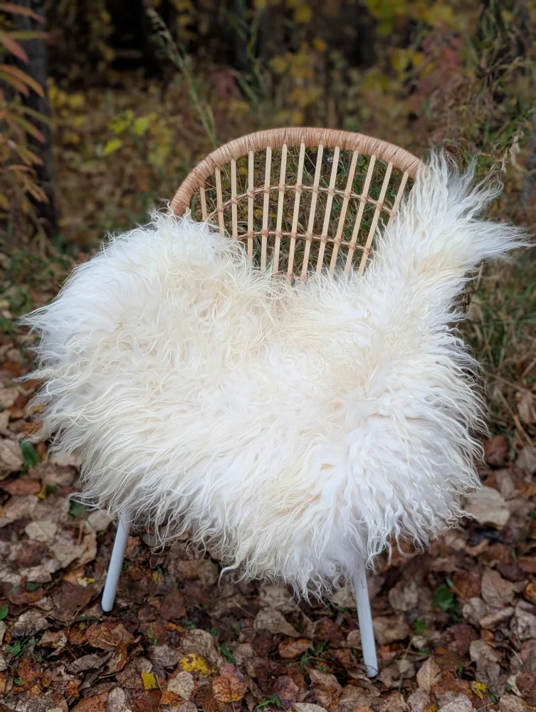 White fluffy wool icelandic sheepskin throw draped over a woven wicker chair for cozy decor