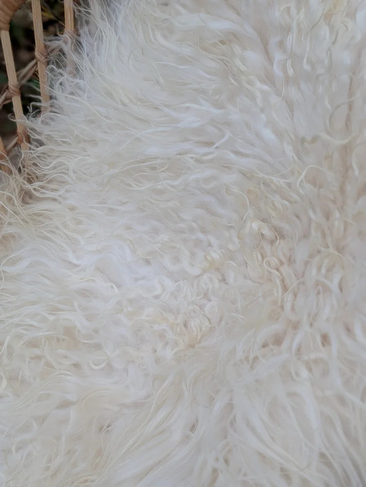 A plush off-white curly long wool icelandic sheepskin rug perfect for cozy home decor