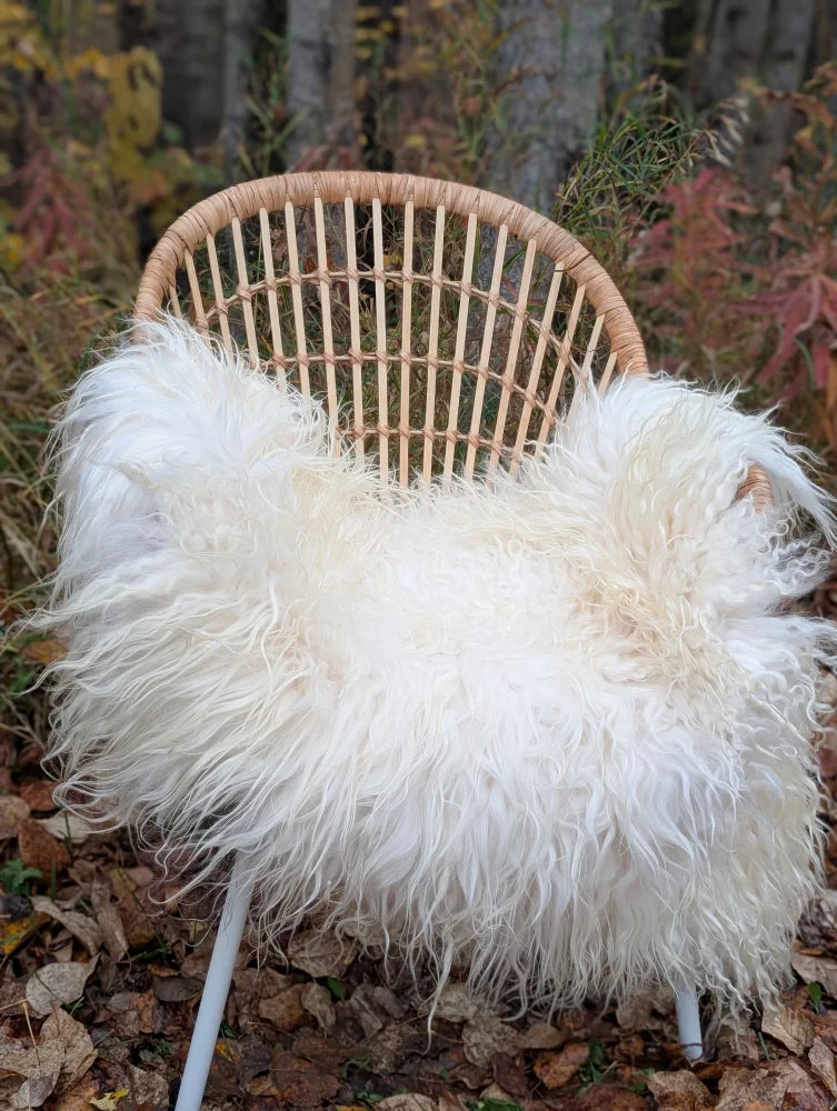 A cozy white long wool icelandic sheepskin throw draped over a woven wicker chair for extra comfort