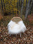 A cozy white long wool icelandic sheepskin throw draped over a wicker chair with metal legs amid autumn leaves
