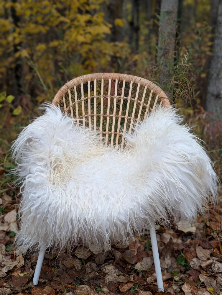 A cozy white long wool icelandic sheepskin throw draped over a woven rattan chair with metal legs