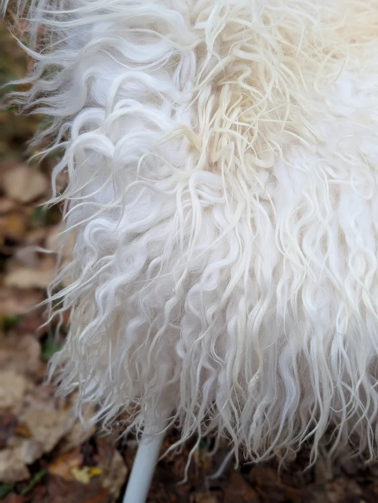 A plush curly white faux fur trim on a soft voluminous long wool icelandic sheepskin rug measuring 48 by 32 inches