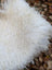 A plush white curly long wool icelandic sheepskin with soft voluminous texture perfect for cozy decor