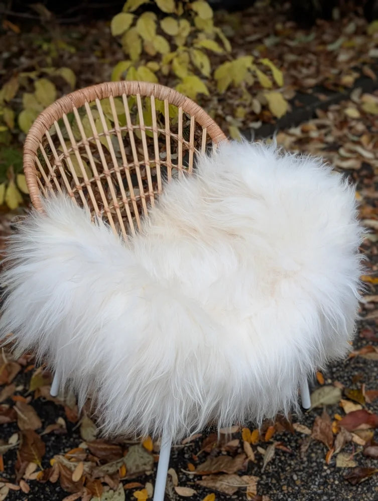 White fluffy long wool icelandic sheepskin throw draped over wicker chair for cozy decor