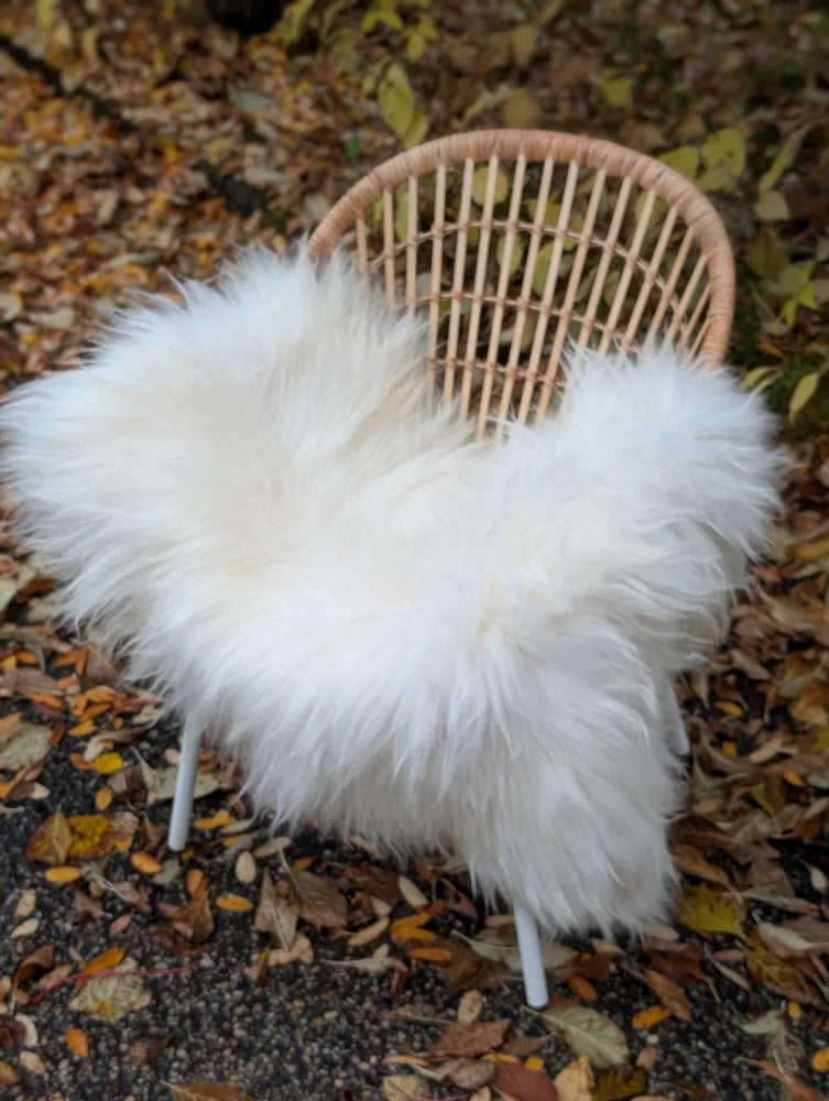 White fluffy long wool icelandic sheepskin throw draped over wicker chair for cozy decor