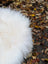 A plush white fluffy ice#33 50 x 32 inch long wool icelandic sheepskin with soft long strands