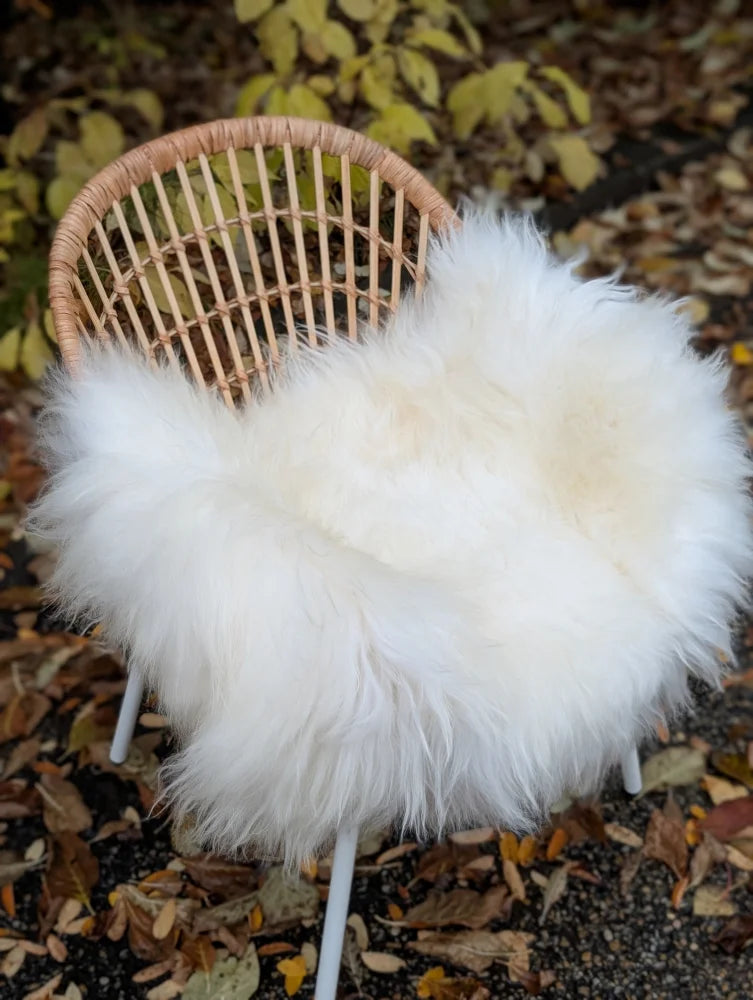 White fluffy long wool icelandic sheepskin throw draped over a wicker chair for cozy decor