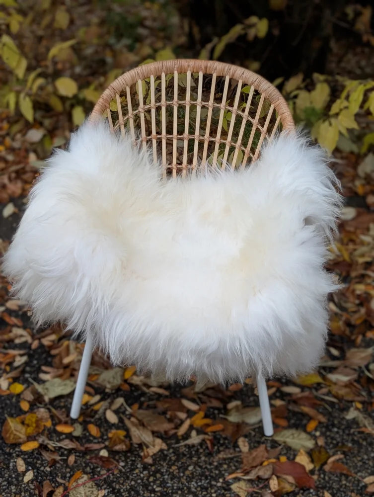 A cozy white long wool icelandic sheepskin throw draped over a woven wicker chair with metal legs