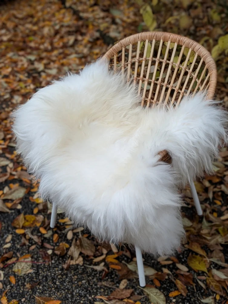 White fluffy long wool icelandic sheepskin throw draped over wicker chair for cozy decor