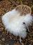 White fluffy long wool icelandic sheepskin throw draped over wicker chair for cozy decor