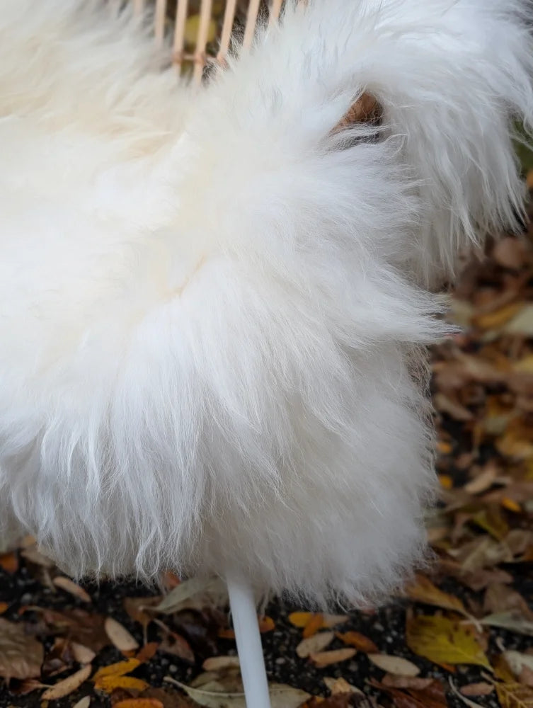 A fluffy white dog with long soft fur and a wooden comb on a long wool icelandic sheepskin rug