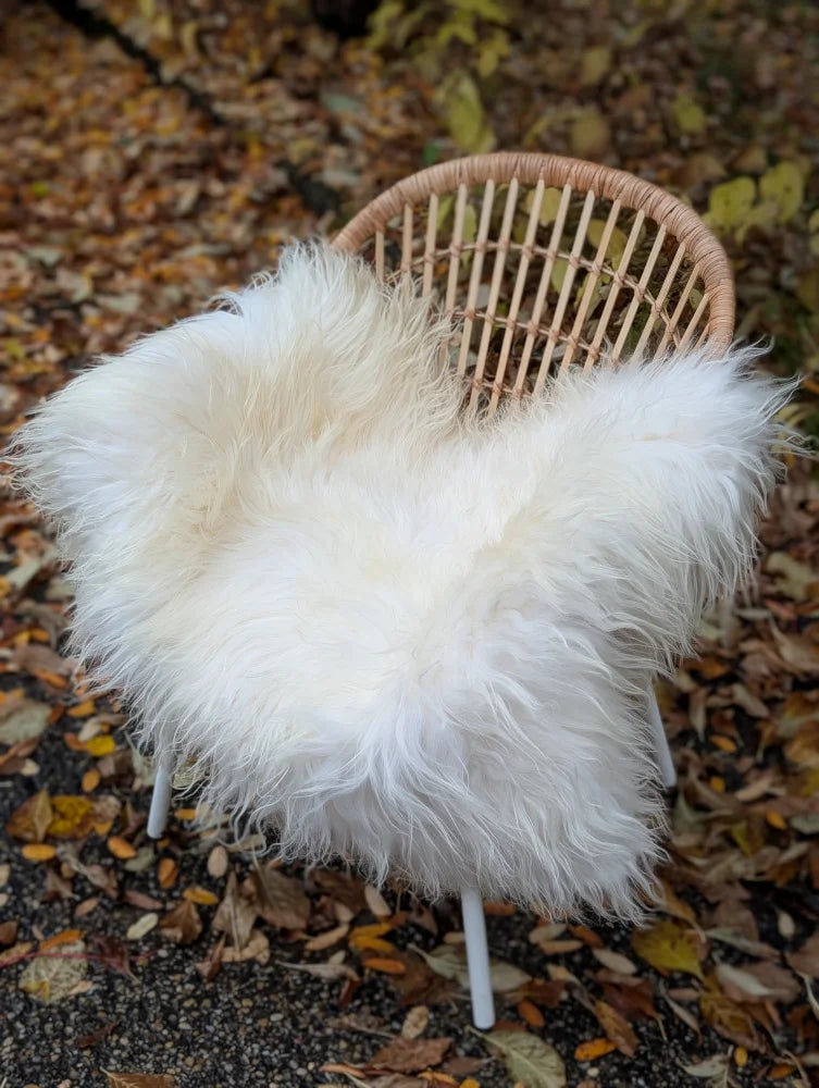 White fluffy long wool icelandic sheepskin throw draped over woven wicker chair for cozy decor