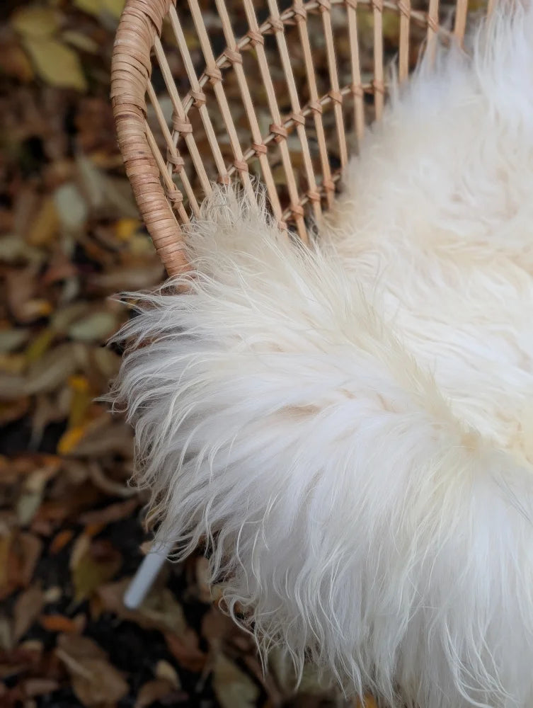 A plush off-white long wool icelandic sheepskin throw draped over a woven rattan chair for cozy style
