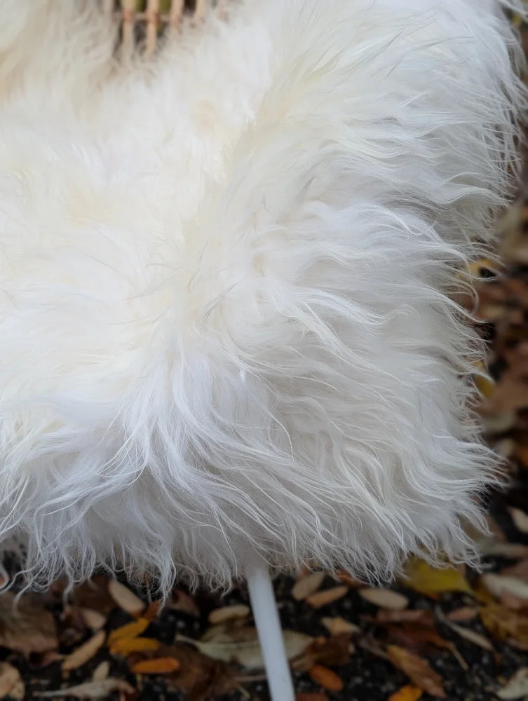 A plush white long wool icelandic sheepskin with fluffy soft strands and voluminous texture for cozy use